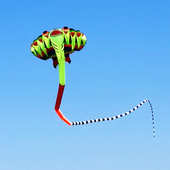 新年鳐鱼风筝3D立体无骨软体风筝超大巨型大型高档大人专用潍坊