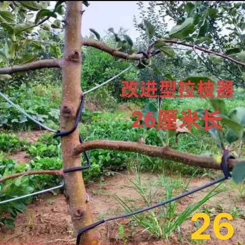 果树拉枝定型器别枝器压枝开角改进型树枝拨弯神器农用拉直器园林