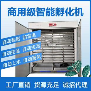 全化自动大型鸽子孵箱孵AQL化机卵小型家用化器孵蛋器器化小鸡智