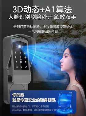 户外防水庭院门锁脸识别门牛头锁老式铁CFV智能门锁子电掌纹人指