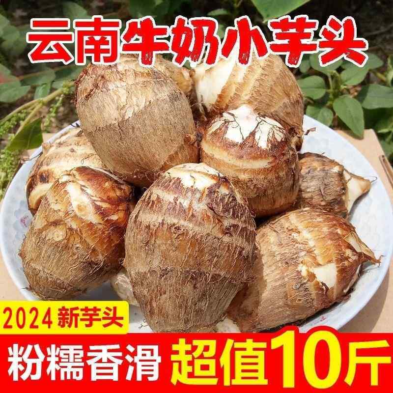 云南牛奶小芋头5斤新鲜现挖红芽毛芋头奶油芋艿鲜蔬菜竽头小香芋