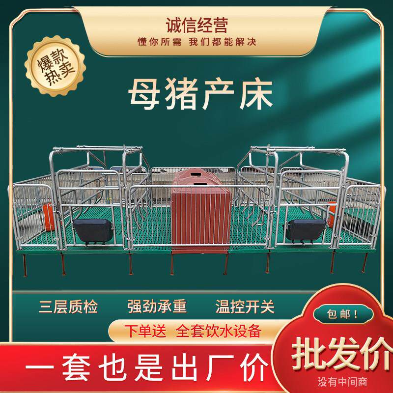 猪场专用定位栏母猪双体产床仔猪保育床限位栏复合漏粪板