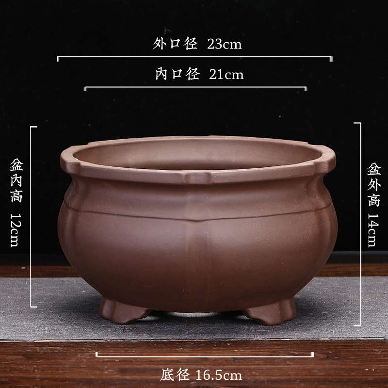 客厅宜兴仿古花盆盆景绿桌面菖蒲圆形包盆多桩植老兰草肉紫砂盆