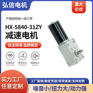 31ZY涡轮蜗杆直流减速电机12V宠物用品家电行业微型减速电机 5840