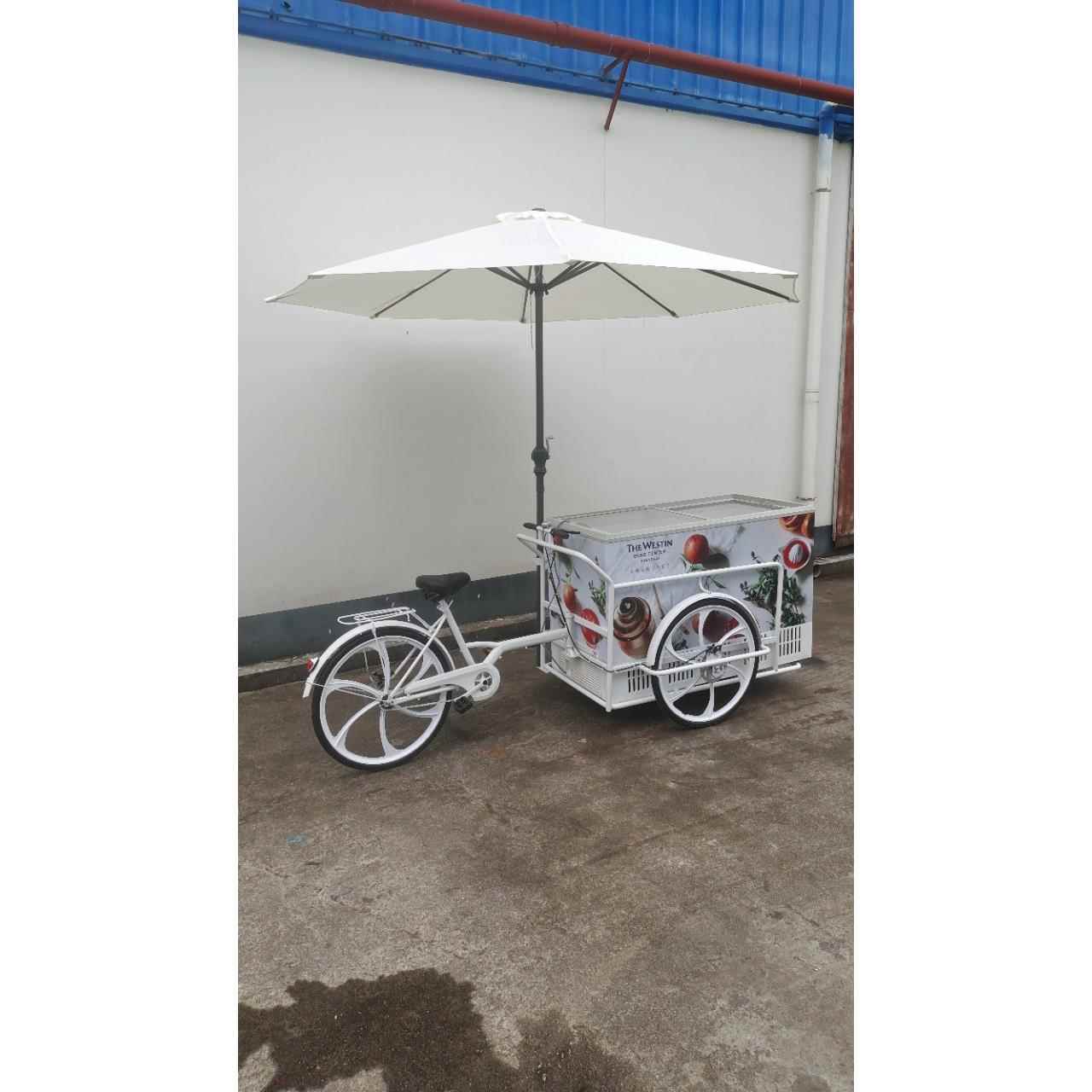 倒骑冰淇淋三轮车出囗电压220V110V可选冰淇淋展示车直冷冰淇淋车