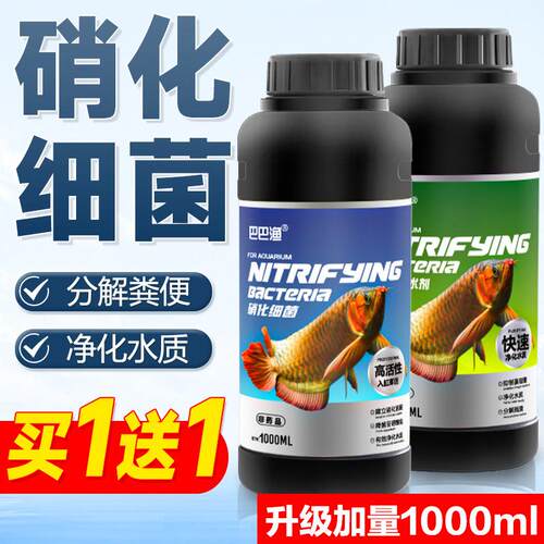 硝化细菌鱼缸专用净水剂养鱼水产养殖稳定剂鱼粪便分解消化活菌液