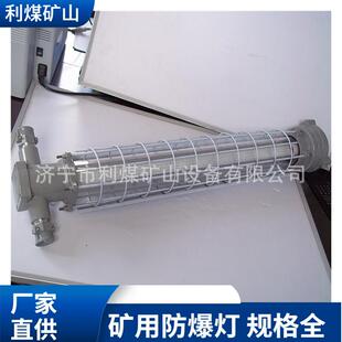 矿用隔爆型巷道灯长形圆形DGS30 LED巷道灯30W巷道照明灯 127L
