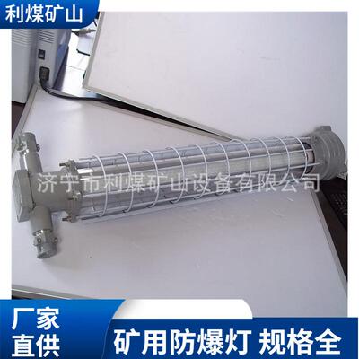 矿用隔爆型巷道灯长形圆形DGS30/127L)LED巷道灯30W巷道照明灯