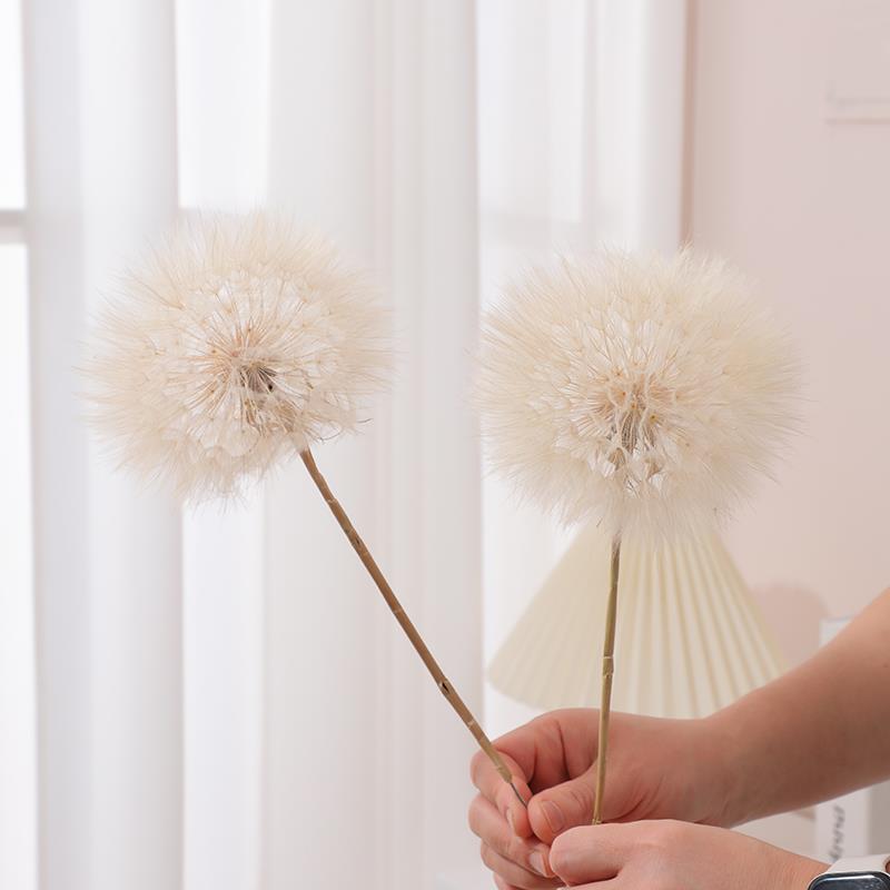 巨型蒲公英花朵干花永生花装饰品插花插瓶小摆件拍照单只花卉道具