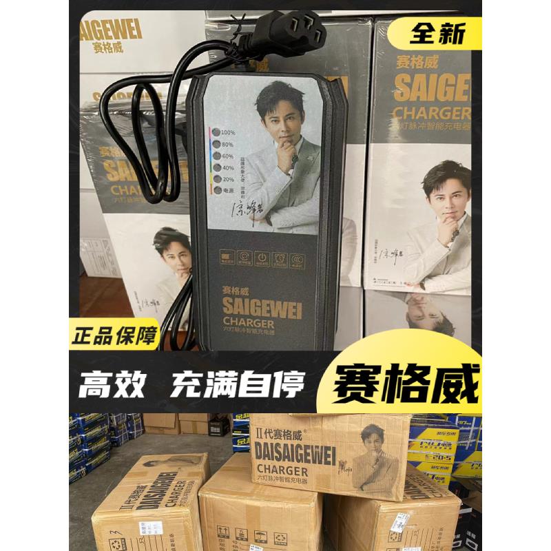 赛格威电动车载充电器全自停48V60V72V三孔专用正极智能关机充电