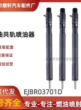 EJBR03701D柴油共轨喷油器338800-4X800喷油器适用于华泰