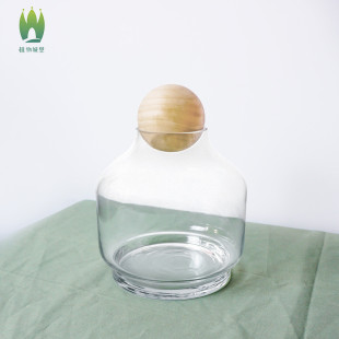 简约创意透明微景观生态瓶苔藓水培多肉水草缸植物玻璃花瓶摆件