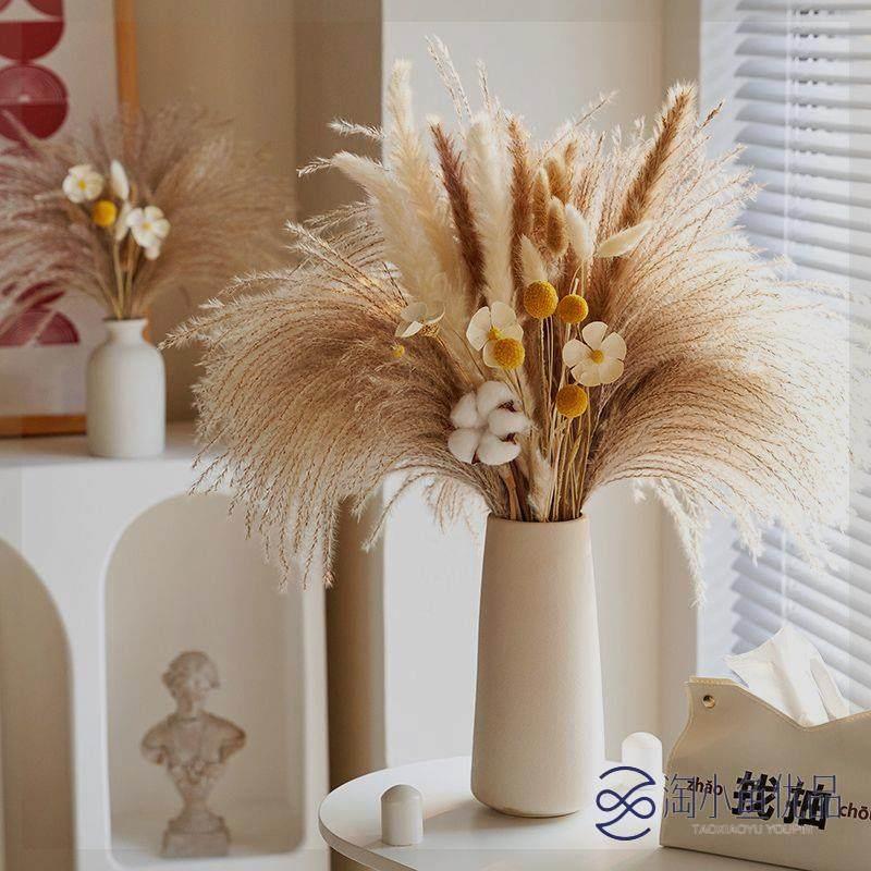 天然风干植物兔尾草芦苇干花花束高级感真花居家玄关客厅摆设花瓶