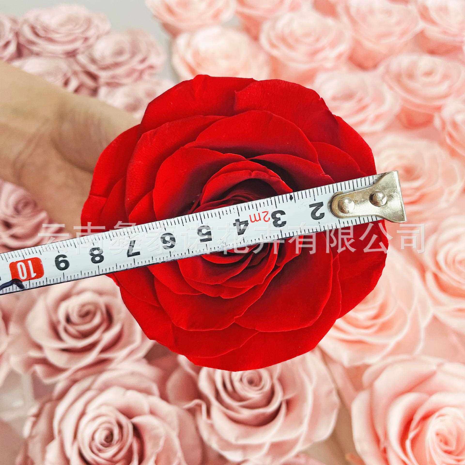 新款直销永生花玫瑰花头A级3朵装7-8cm520情人节外贸亚马逊礼盒花