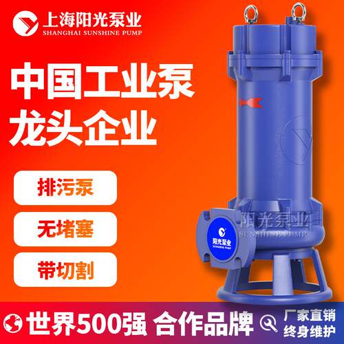 WQKQG带切割装置潜水排污泵自吸排污潜水泵高温排污泵定金