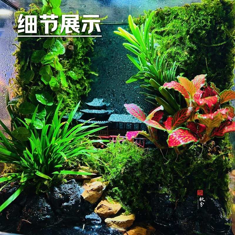 p9j创意造景雨林缸生态流水养鱼微景观桌面摆件鱼缸小型家用