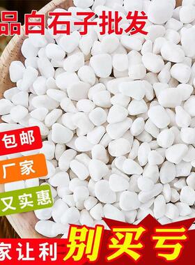 鹅卵石天然雨花石小白石子多肉铺面盆栽花盆庭院造景装饰白色石头