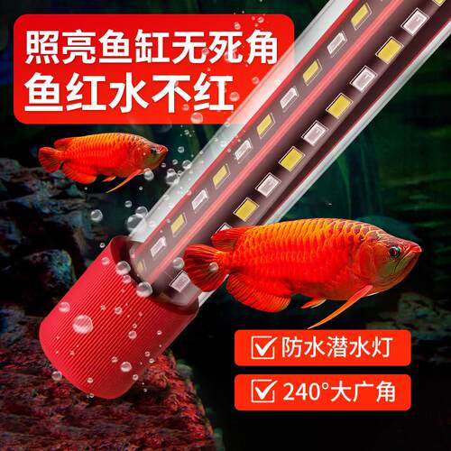 鱼缸照明灯led全光谱防水灯灯管水族箱防水灯超亮小型鱼缸专用灯
