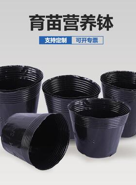 营养育苗盆吹塑一次性黑色塑料杯园艺种植种菜花卉苗圃装土盆