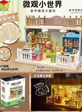微观小世界立体迷你微缩场景DIY小屋模型手工拼装玩具儿童礼物6岁