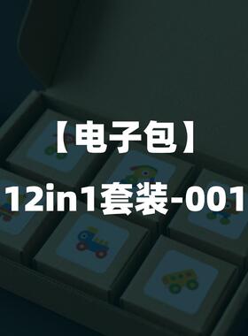 12in1套装-专拍