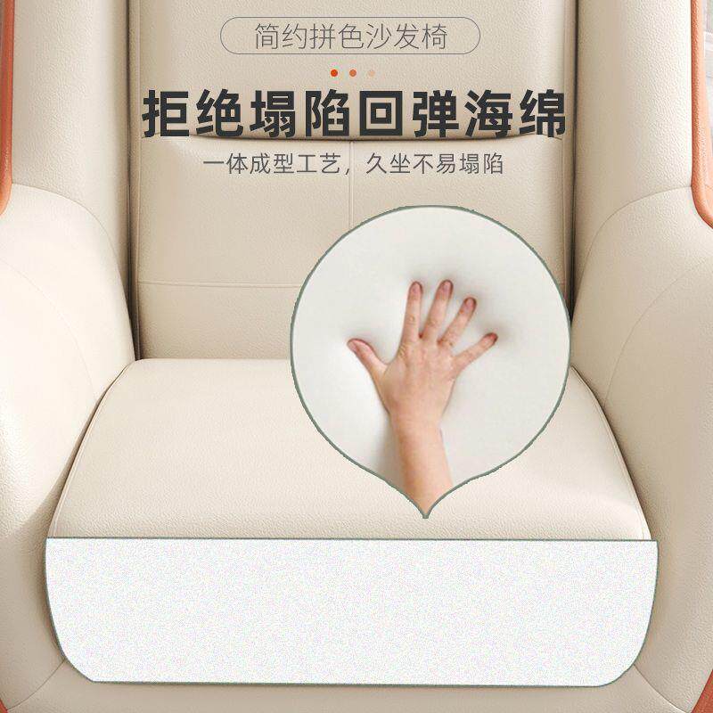 意式单人沙发阳台休闲椅家用豪华科技布卧室高档太空舱老虎椅沙发