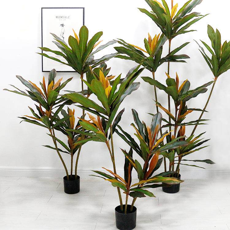 北欧网红仿真植物红铁树龙血铁室