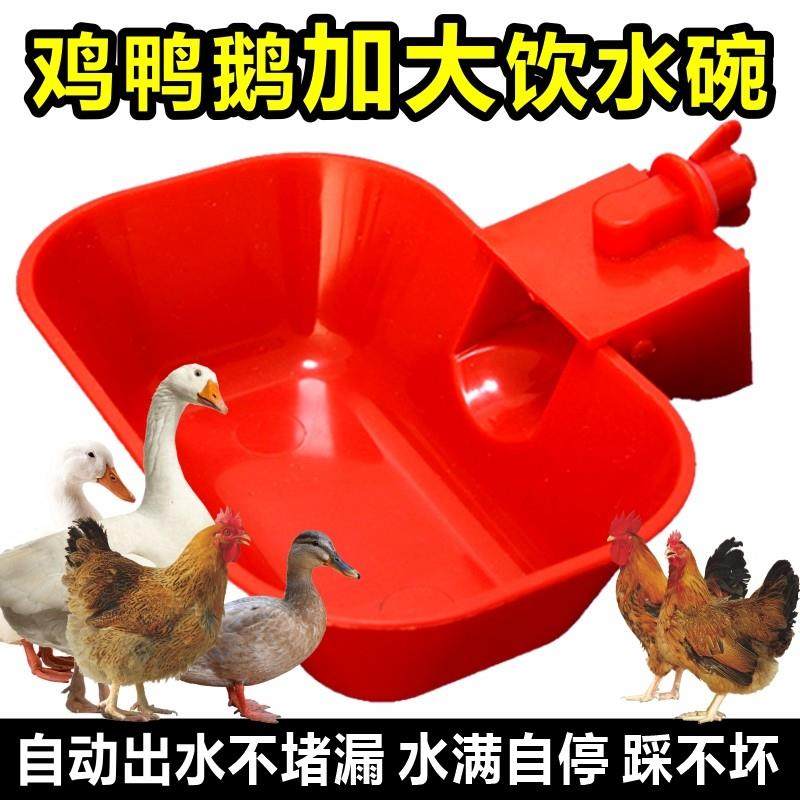 鸡鸭鹅自动饮水碗喂水器加大家禽宠物猫狗兔养殖神器加宽饮水器,畜牧/养殖物资,畜牧/养殖器械,淘宝优惠券,粉丝福利购,淘宝优惠卷