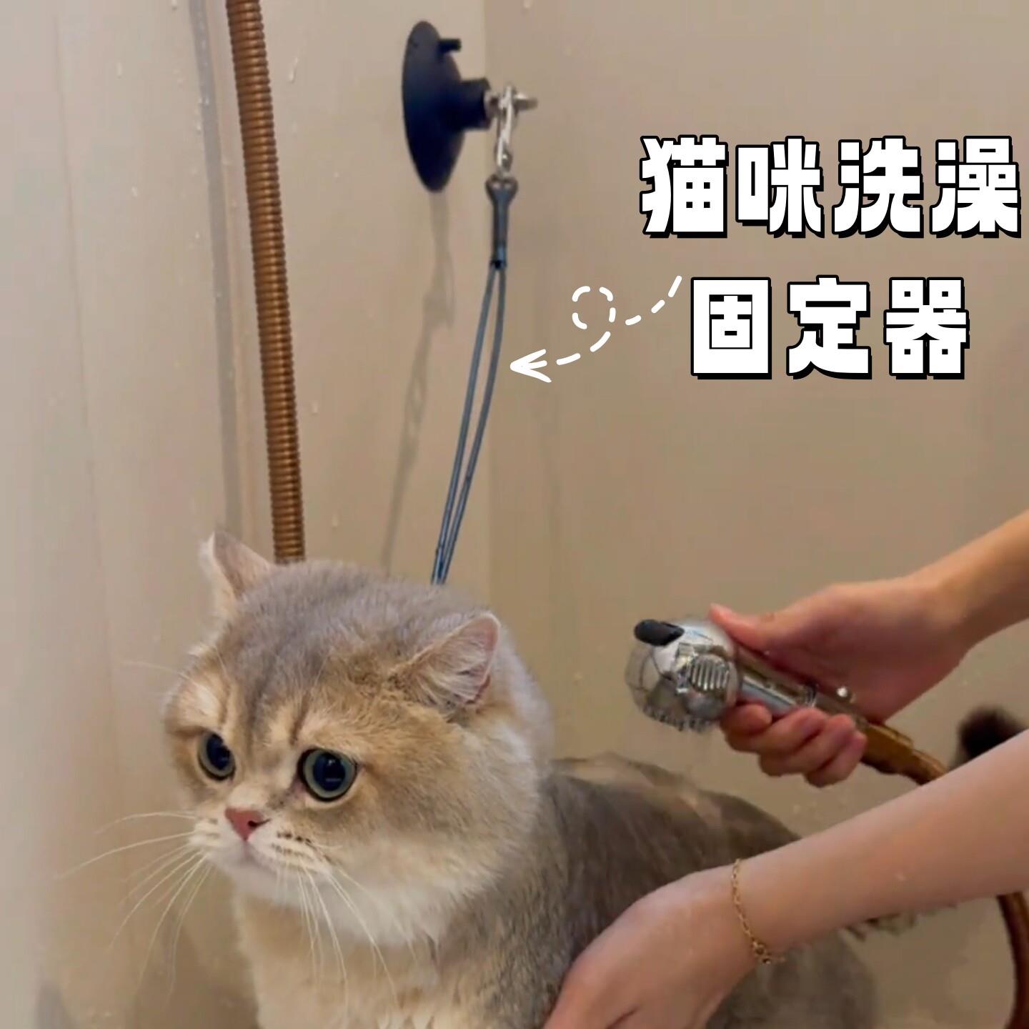 猫咪洗澡固定器宠物洗澡神器狗狗洗澡挂绳洗澡固定绳吸盘美容吊绳
