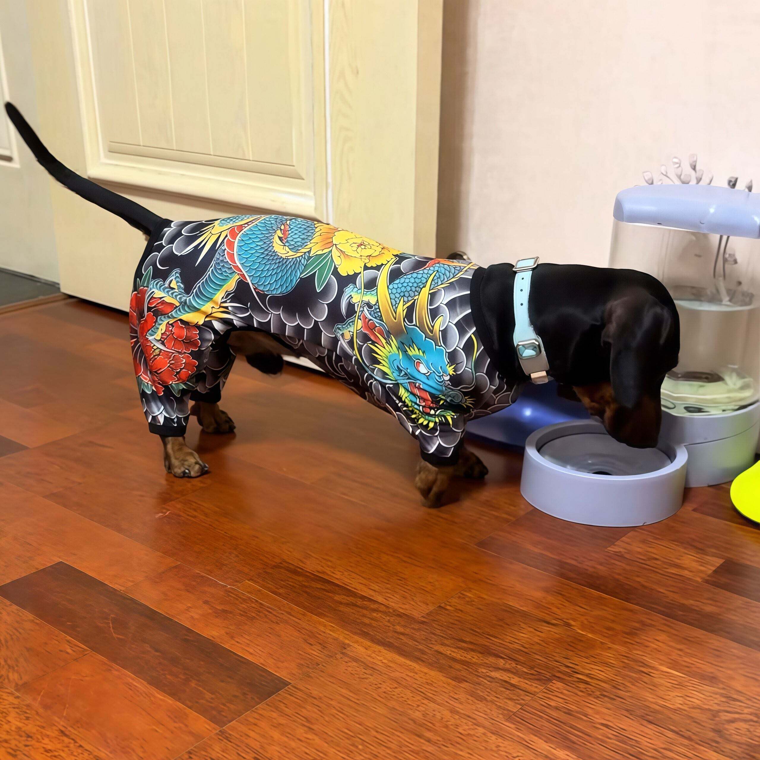 宠物纹身衣服狗狗夏天薄款凉凉四脚衣小中大型犬搞笑搞怪猫咪背心