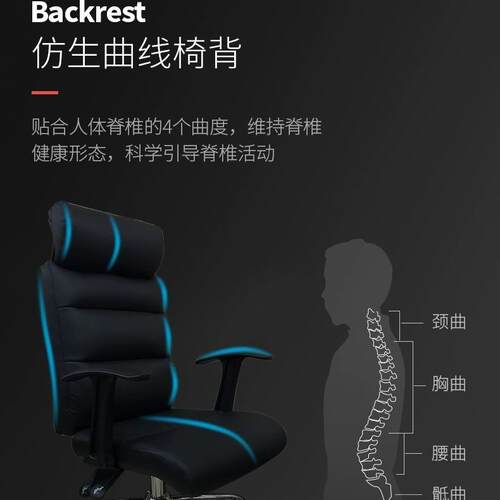 人体工程学椅电脑椅家西用靠背皮房椅升B307降旋转椅适舒座椅办公