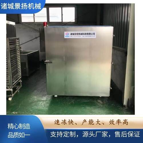 商用柜式速冻机液氮速冻柜生产厂家榴莲鸡翅海鲜水果速冻设备