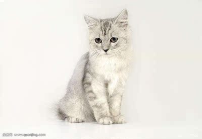 使用说说曼柔双肩背包怎么样，图案解说其质量？