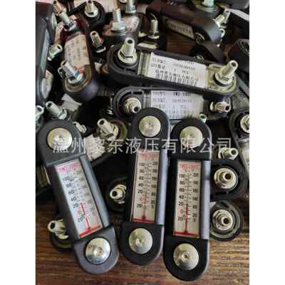 过滤器SCHROEDER 8Z25 KZ3 9VZ3过滤器滤芯1700R0351020BN3 4HC