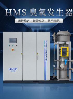 大型臭氧发生器工业污水处理降COD设备高级氧化装置1kg-80kg