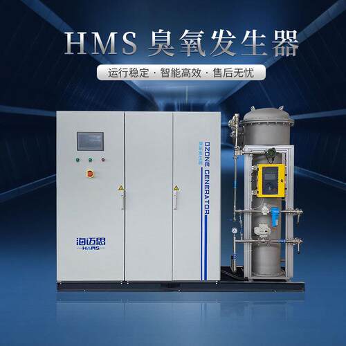 大型臭氧发生器工业污水处理降COD设备高级氧化装置1kg-80kg