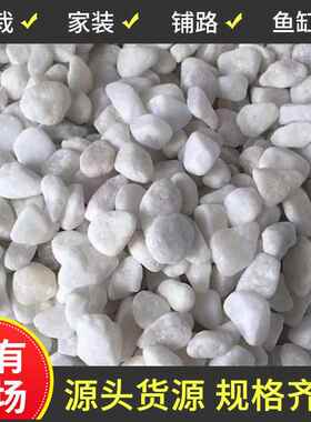 天然鹅卵石白色小石头铺路水磨石砾石汉白玉园林景观枯山水白石子