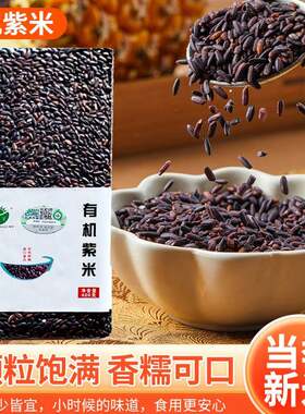 东北有机紫米新米饱满紫梗米血真空包装五谷杂粮杂粮非糯米400g