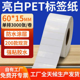 25mm不干胶防水贴纸防油撕不烂PVC6x2.5cm定制做 亮白PET标签纸60