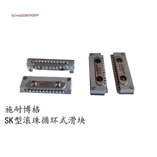 施耐博格滚珠循环式滑块SK2032 SK3075MNNXL9 RNG4125/4075 R3375