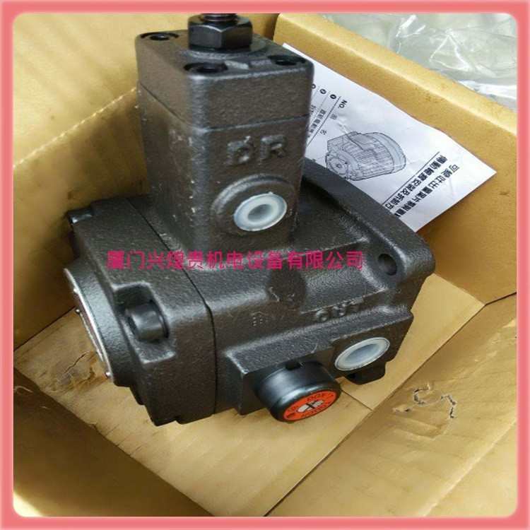 PVF-20/15/12-70/55-10 10S PVF-20-35-10 ANSON 台湾安颂 叶片泵