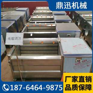 毛刷清洗机土豆去脱皮清洗机鼎迅生蚝自动清洗机现货