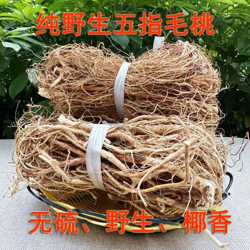 野山五指毛桃粤北广东韶关农家煲汤无硫汤料五爪龙上等货切片500g