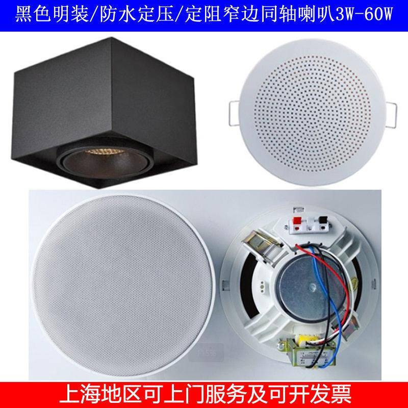 黑色明装吸顶喇叭窄边同轴定压定阻两用音响广播防水扬声器5W-40W