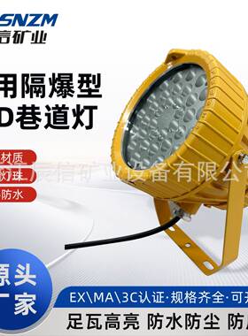 矿用隔爆型LED巷道灯矿用隔爆型LED投光灯DGS80/127LA煤矿井下用