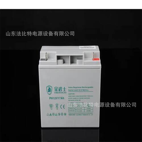 金武士铅酸蓄电池PH12-17Ah消防应急12V17Ah医疗器械 质保一年
