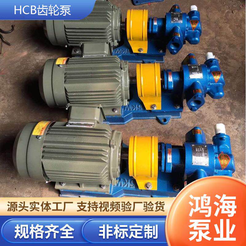 HCB齿轮泵高温油泵输送重油柴油泵润滑油不锈钢泵电动自吸油泵