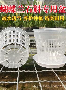 蝴蝶兰兰花专用塑料透气水培花瓶