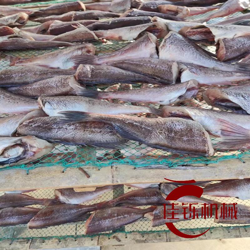 5P石斑鱼空气能烘干机海兔海肠冷风干燥机海产类空气能低温烘箱