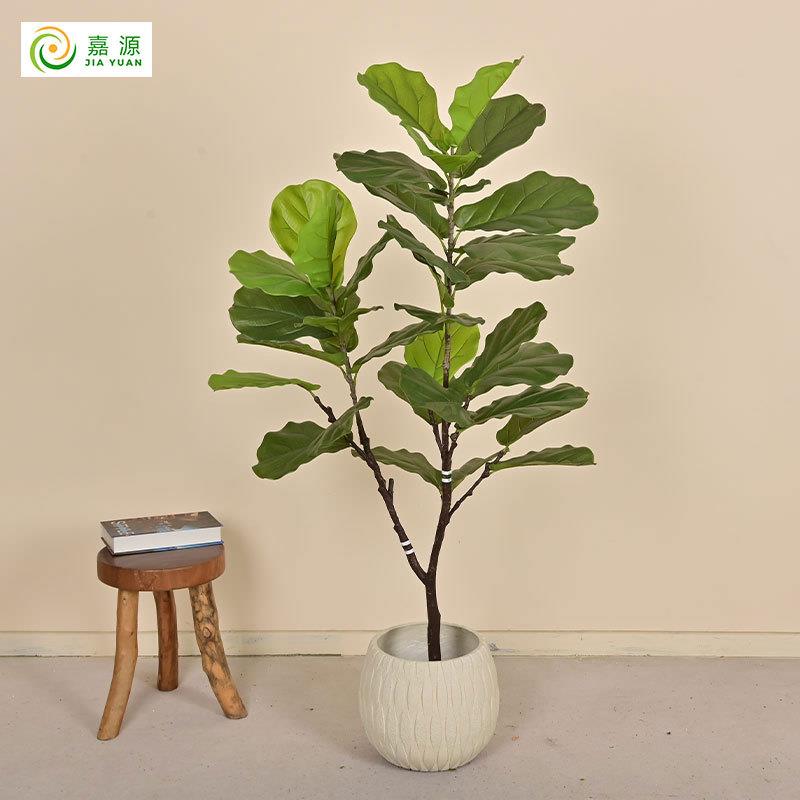 北欧家居装饰琴叶榕树仿真植物室内商场落地盆栽绿植造景琴叶榕